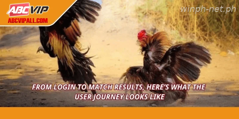 From login to match results, here’s what the user journey looks like