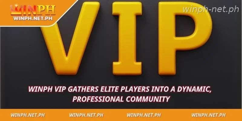 WINPH VIP gathers elite players into a dynamic, professional community