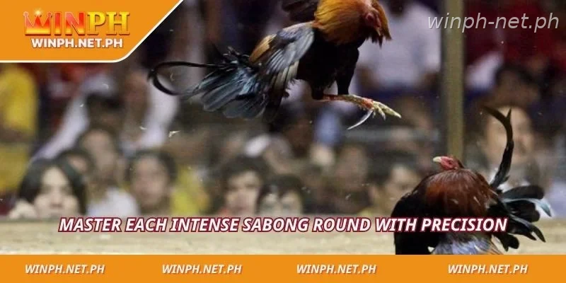 Master each intense sabong round with precision