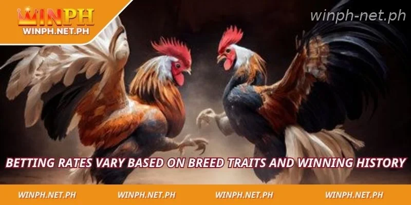 Betting rates vary based on breed traits and winning history