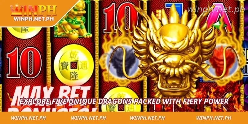 Explore five unique dragons packed with fiery power